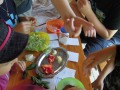 cckpribyslav_20160521_cervenokrizacci_11.JPG